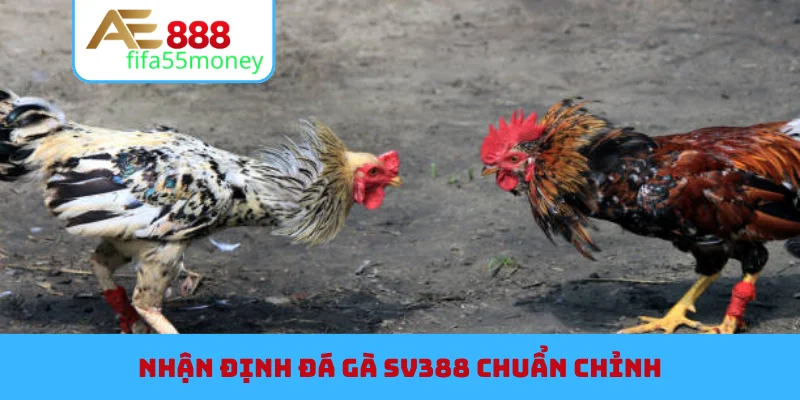 Đá Gà SV388 Đỉnh Cao - Chiến Thuật Bắt Kèo Cực Chuẩn #1 - playflame89.fit